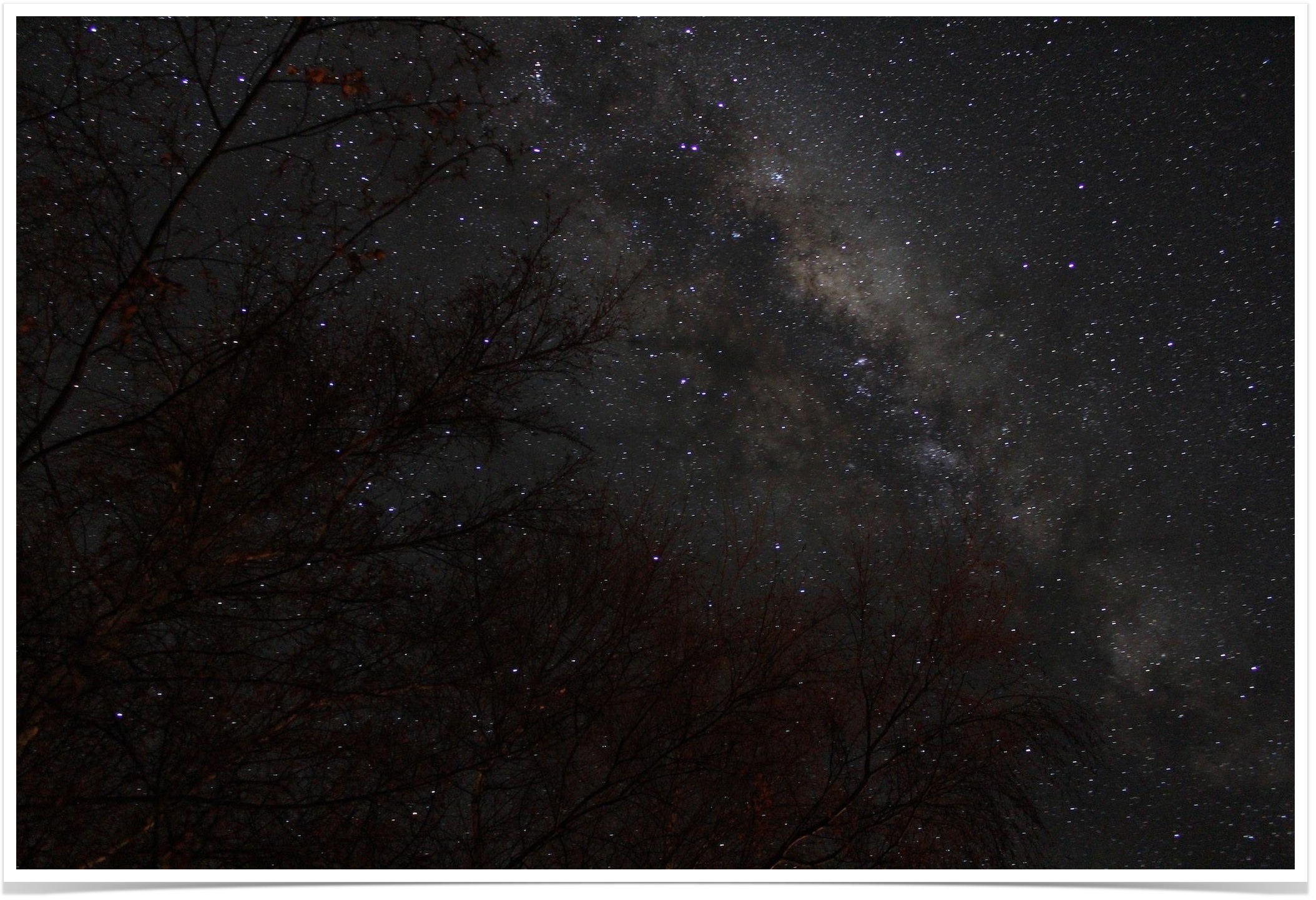 Milky Way Kiwi