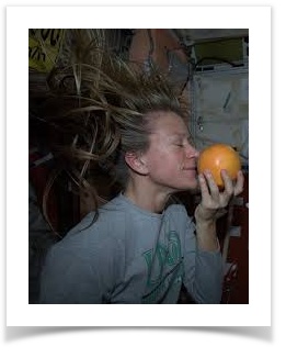 Astronaut Karen Nyberg on board ISS and a fresh grapefruit